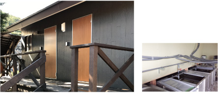 山梨県北杜市八ヶ岳青年小屋